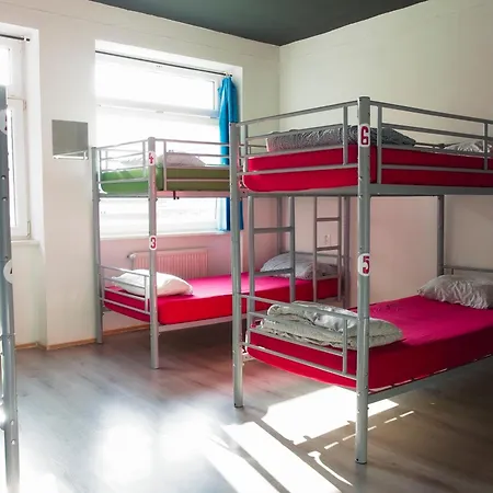 Urban Elephants * 布拉迪斯拉发