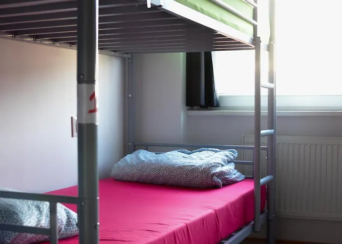 Albergue Urban Elephants *